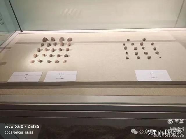 探秘丝路明珠,邂逅巴楚千年文明——走进新疆巴楚博物馆|申艳娟