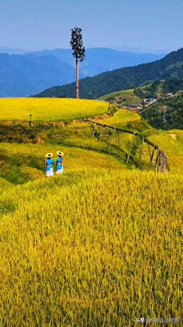 湖南省内游，怀化雪峰山旅游打卡攻略长！