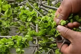 女人在玩弄你的6个表现，中一半就没救了！图片