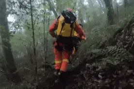 “鸟类叫声像人说话，令人害怕” 总台记者回忆哀牢山科考经历图片