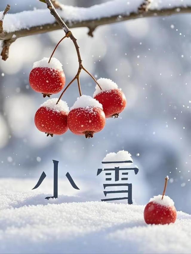 小雪，美景怡人