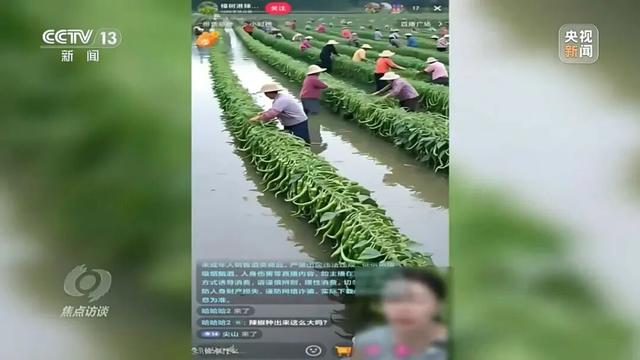 假的！假的！很多人信了！央视曝光