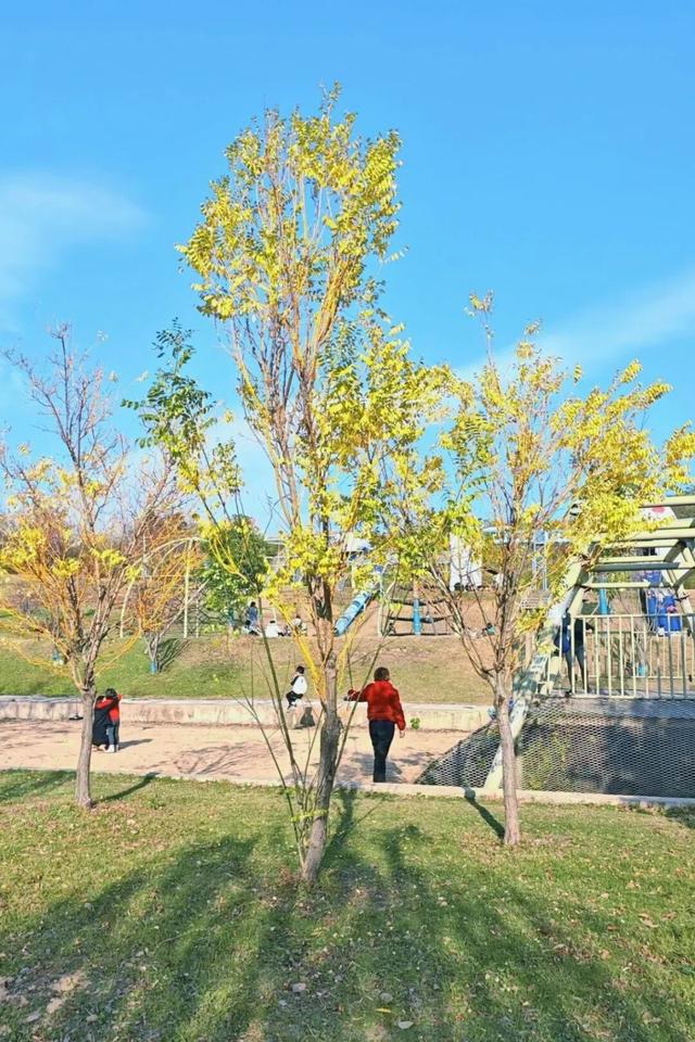 黄陂人的周末私藏：木兰玫瑰园里藏着最松弛的亲子时光！