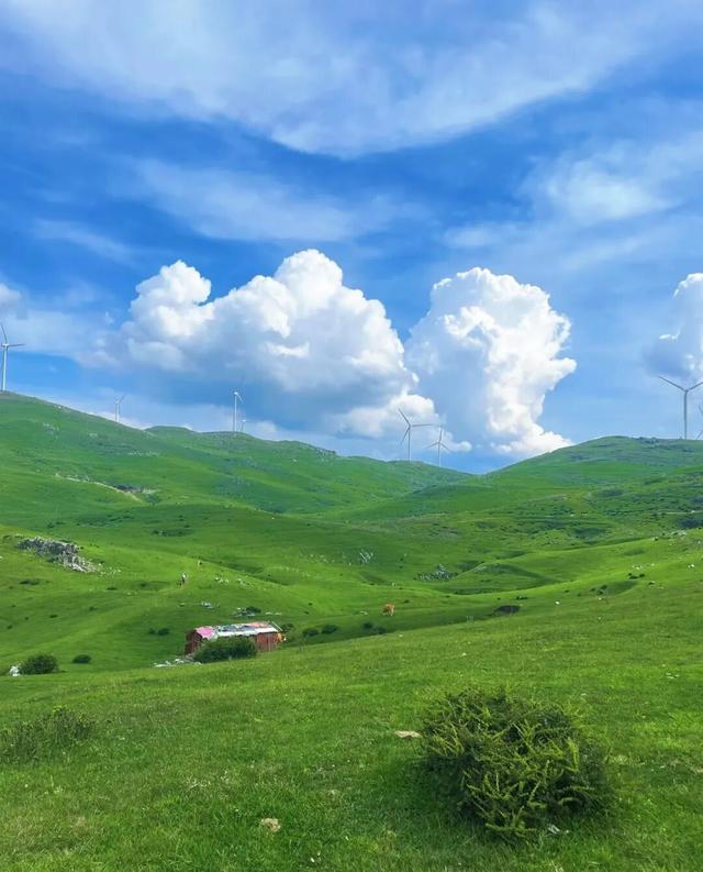 贵州隐藏的天空之境！免费草原风车牛羊，人少景美速来！