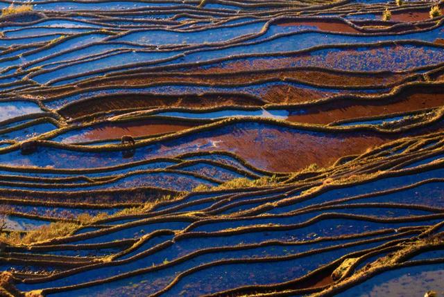 这个元旦，来元阳观赏梯田光影，参加百米长街宴吧