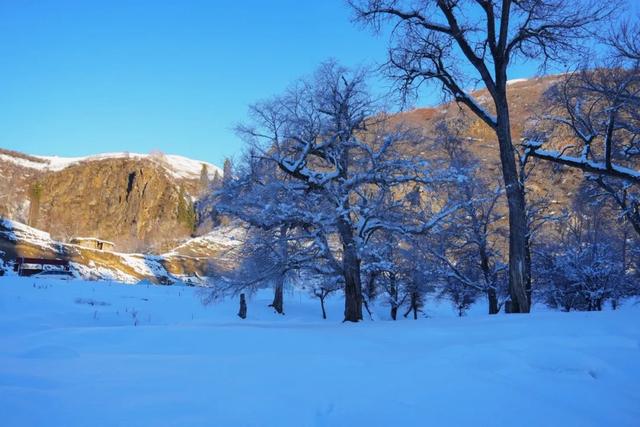如要选一个冬季最佳拍雪景的地方,首选一定是它
