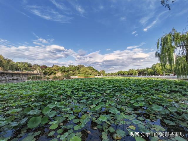 泰安：泰山下这个城市公园，耗资4700万元打造，藏着4处惊艳风景