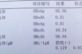 乙肝五项这几项阳性，恭喜你开始好转了！图片