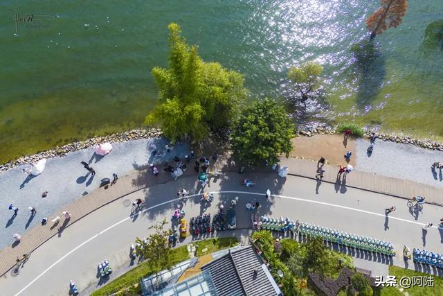 龙龛码头太有名，每天有很多人过来拍婚纱，但他们却不知道夫妻树