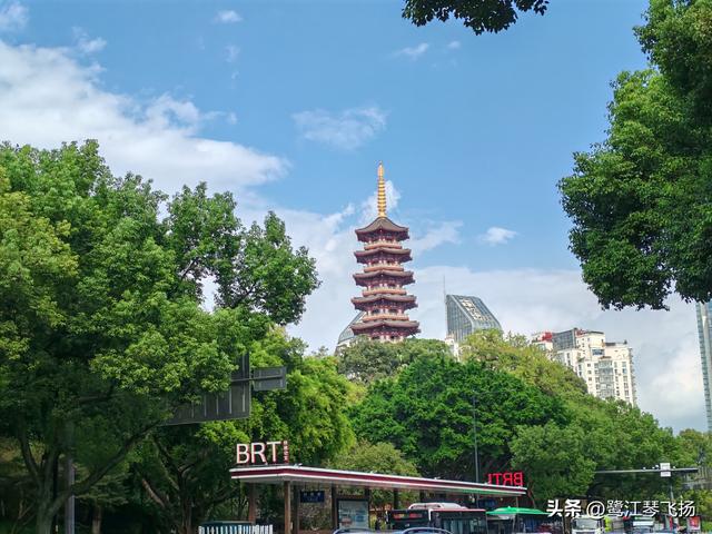 2025年国庆游温州（一）