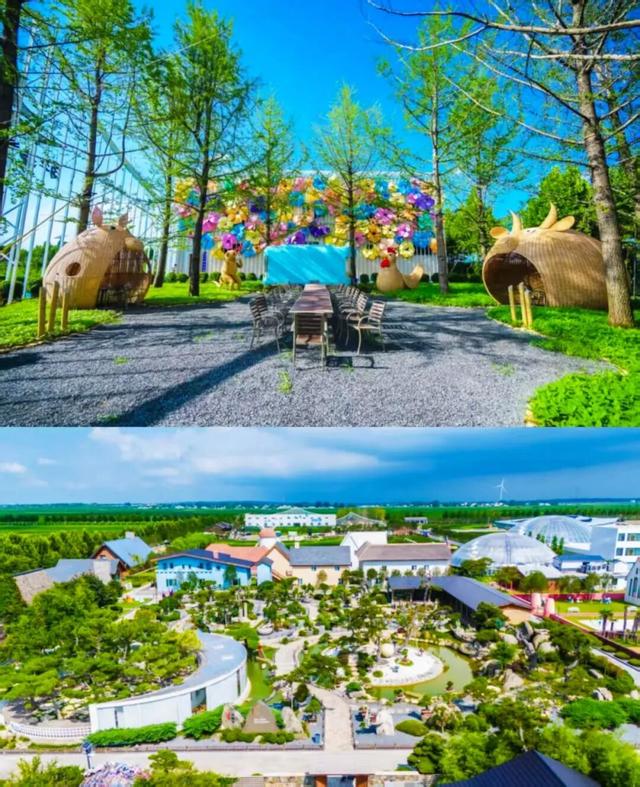 白露凝秋光，沂蒙藏诗意——解锁临沂景区里的 “晶莹秋日”