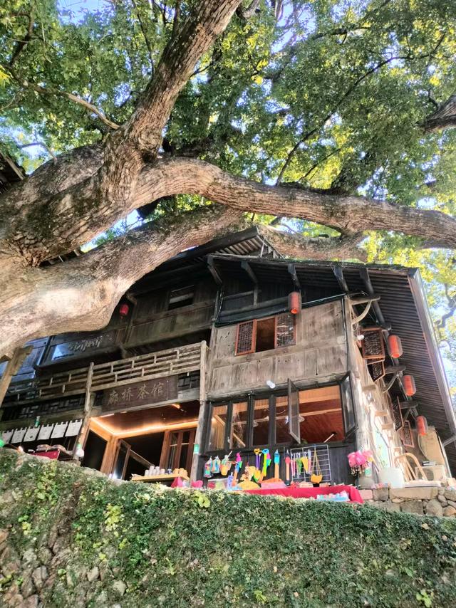 瓯越风情（二）：泰顺·廊桥遗梦与山乡暖意