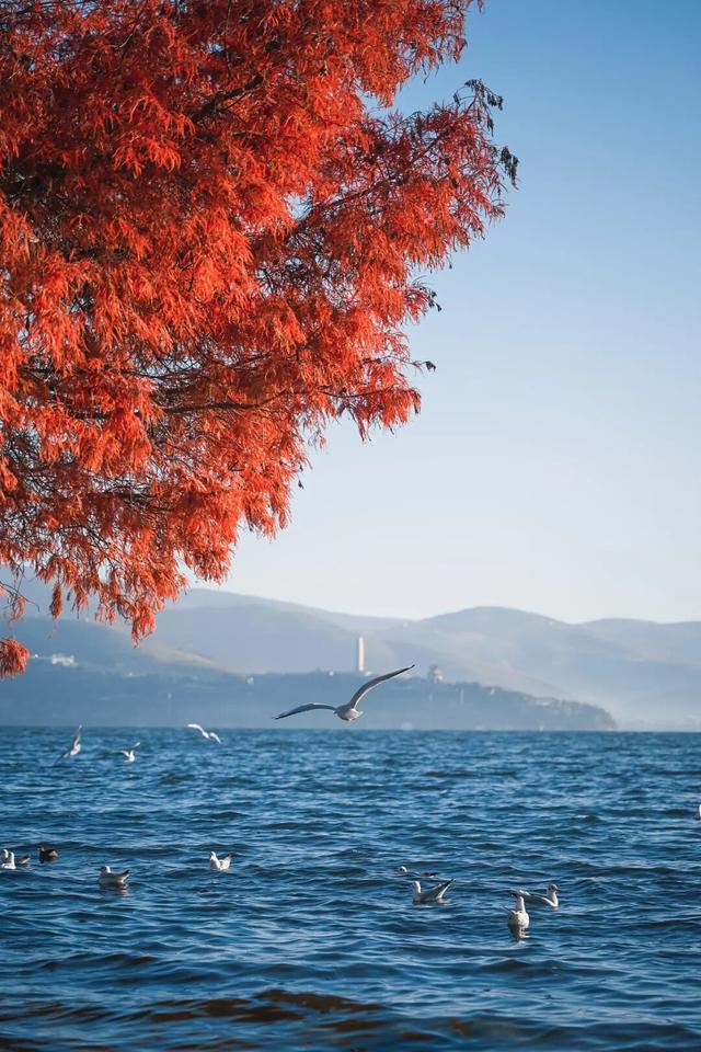 地理冷知识—12月份去哪旅游