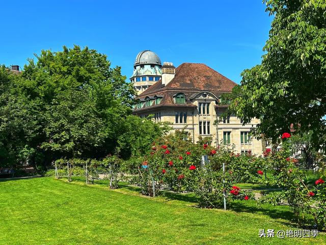 欧游杂记（6）‖ 遇见一个宁静与狂欢同在的苏黎世