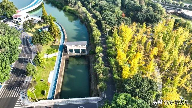 你好 东坡！| 明月路：邂逅一条湖光浸润的诗意长廊