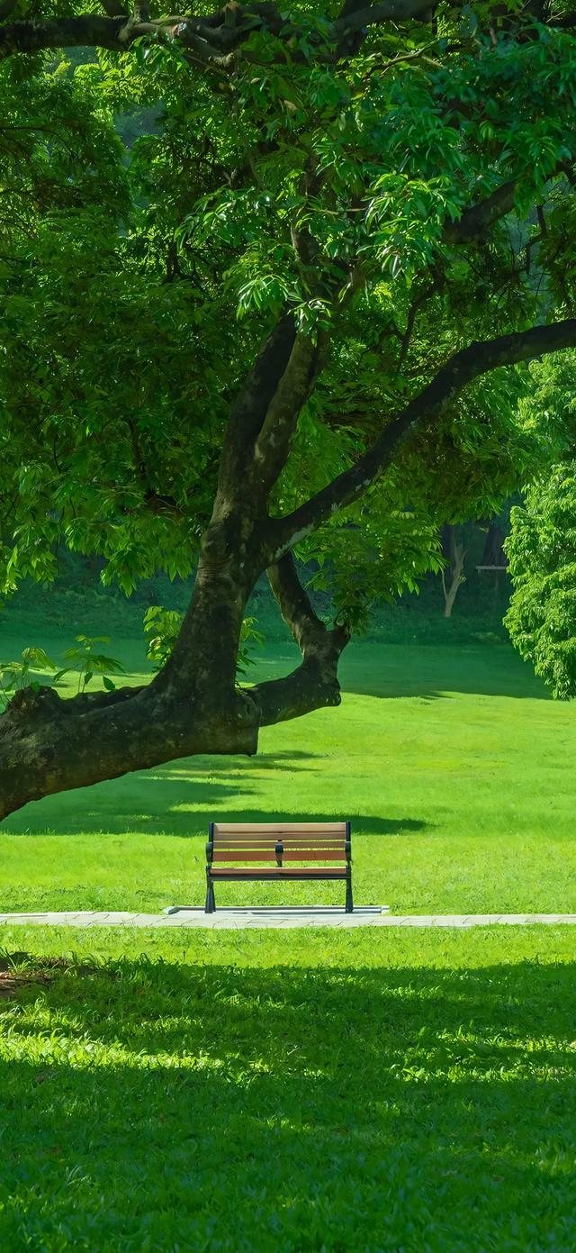 手机壁纸|简约的自然风光美景