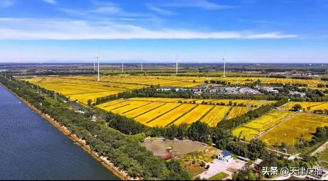 民声 | 国庆中秋假期最新出行提示！预计5200多万人在路上！黄金周乡村游攻略出炉！