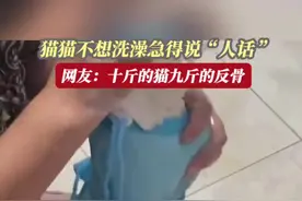白猫不想洗澡急得飚出“人话”！图片