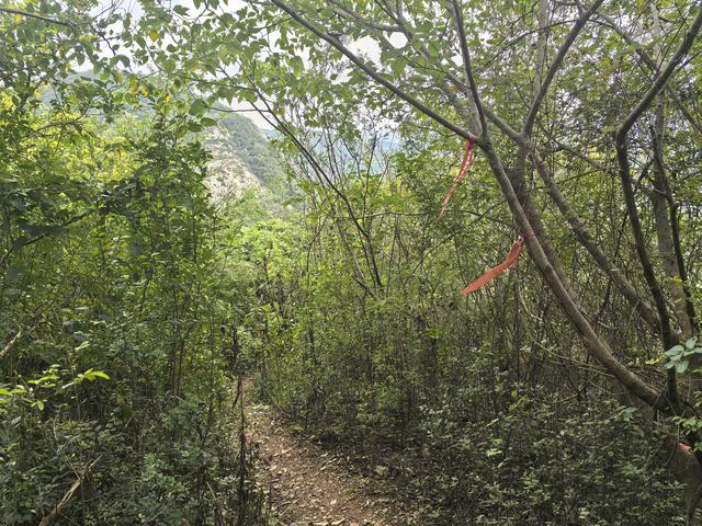 南京汤山龙尚湖青龙山佘村一日郊野徒步