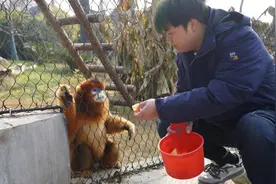 《新年心愿》：“金丝猴”保育员胡博文：愿2024年动物们能健康成长图片