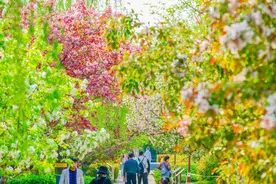 推行“春秋假”，将元宵节、冬至设为法定节假日......你关心的休假问题，这些代表委员发声了图片