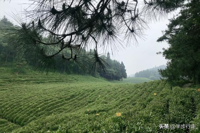 湖南边城！石门县最值得去探索的打卡点