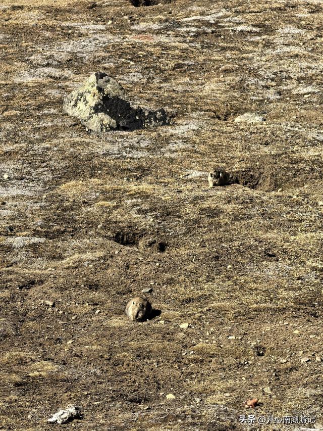 喀什经317到成都，比如县白嘎乡-边坝县，观萨普神山