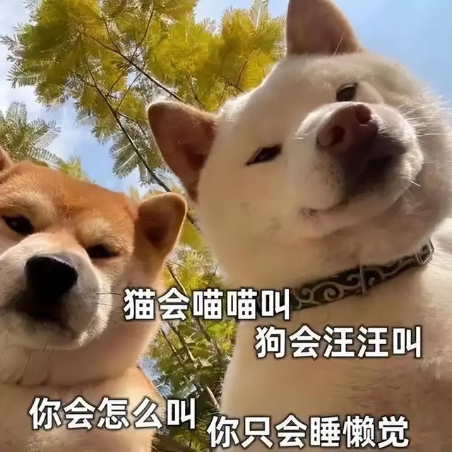 你们加的骑行群，说好的“休闲骑”是真的休闲吗？我腿现在还疼！