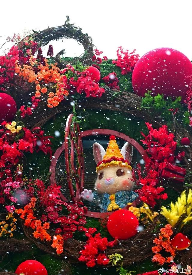 本周上海文旅指南来了