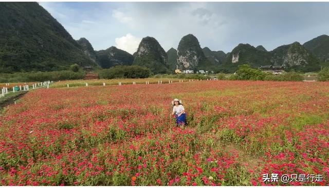 2025年广西百色、靖西自驾游