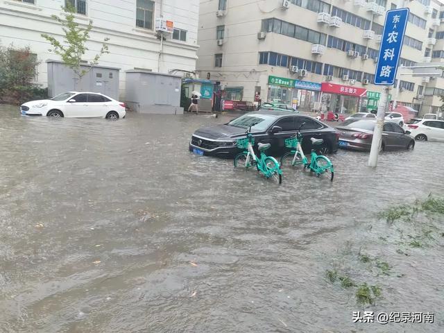 雨后郑州：金水区