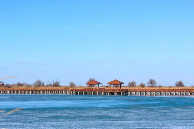 【黄河口生态旅游区】错峰出游 感受正月里的“松弛感”！