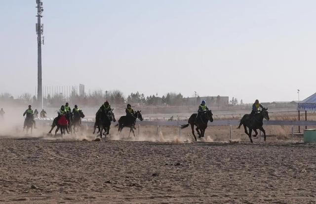 策马踏雪欢歌起！达茂旗冬季那达慕“热力值”超标