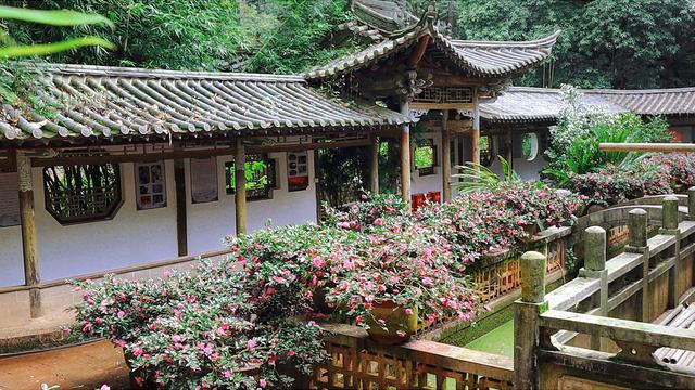 明代白龙寺，徐霞客到此一游，百年茶花，白龙盘锯而成潭