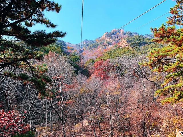 不藏了，美景天成：去辽宁这五处红叶佳景，体验最诗意的北国