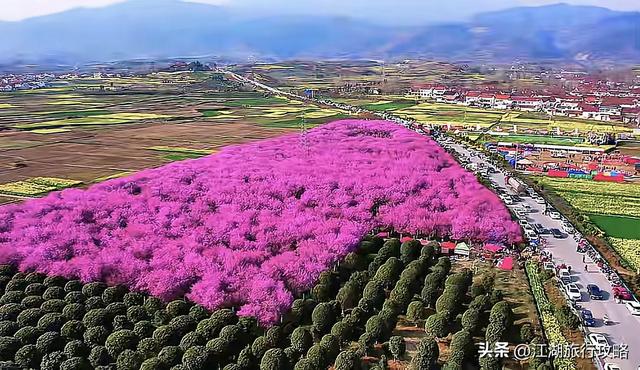西安汉中周末两日自驾游，赏油菜花优选线路攻略
