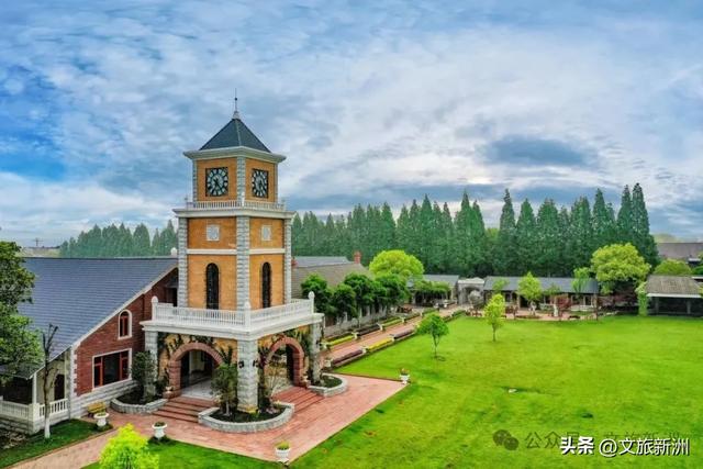 新洲是懂浪漫的！这份「七夕高甜打卡指南」请速存