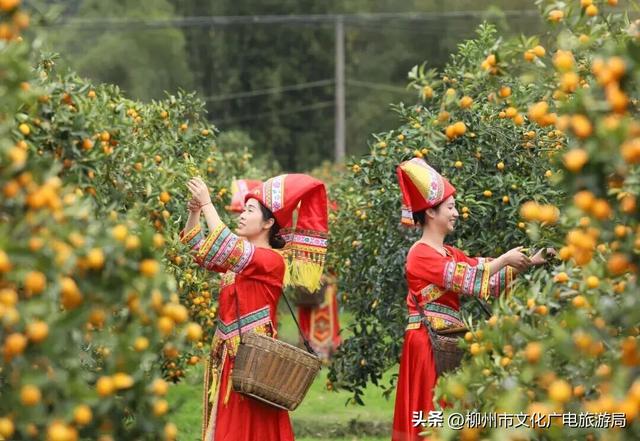 你没眼花！现在给你的是《2026放假安排（柳州版）》！速转存了解！