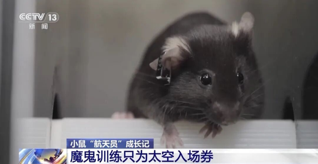 一觉醒来，咱家的“东风”又创新纪录了！