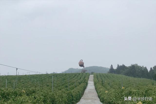 湖南国有林场：石门县白云山林场风光欣赏！