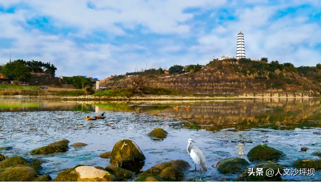 比市区低8℃！重庆周边1小时的免费耍水宝藏地，清凉又解压，快冲！
