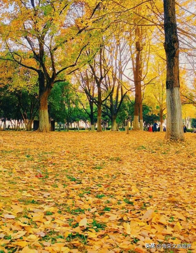 11月旅行：在山河秘境中，邂逅最本真的秋日浪漫