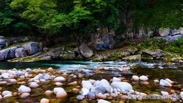 周末避暑好去处|走进绿意森呼吸,邂逅山间清凉