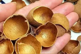 没想到桂圆壳煮水这么厉害，效果真的好，图片