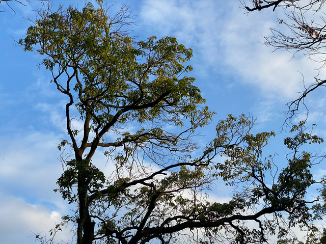 麒麟山真理公园1：这里的美景惊艳整个黄埔，你来过这里吗？