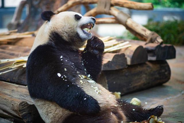 海口一日游最佳景点推荐，海口10大好玩景点，一定不可错过！