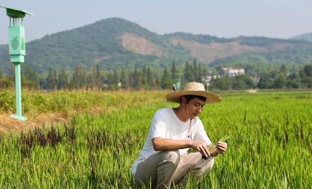 60年一遇！今日立秋，既是“闭眼秋”，又是“穿衣秋”，有何预兆