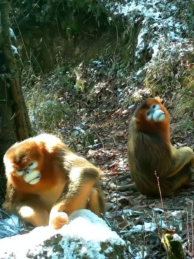 情景相生好风光｜这些才是绵竹最值得去的地方！不接受反驳……