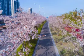 苏州高新区：一起踏青寻芳，共赴“花事”之约！图片
