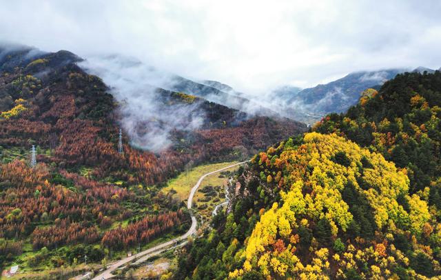 台山秋色惹人醉